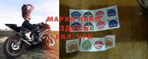 хмурый Абаза