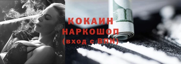 хмурый Абаза