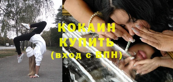 соль ск Алзамай
