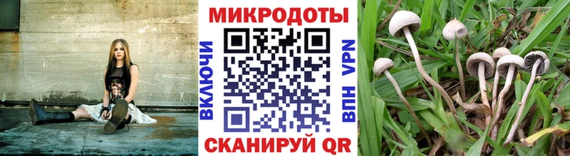 Псилоцибиновые грибы GOLDEN TEACHER где найти наркотики Южноуральск