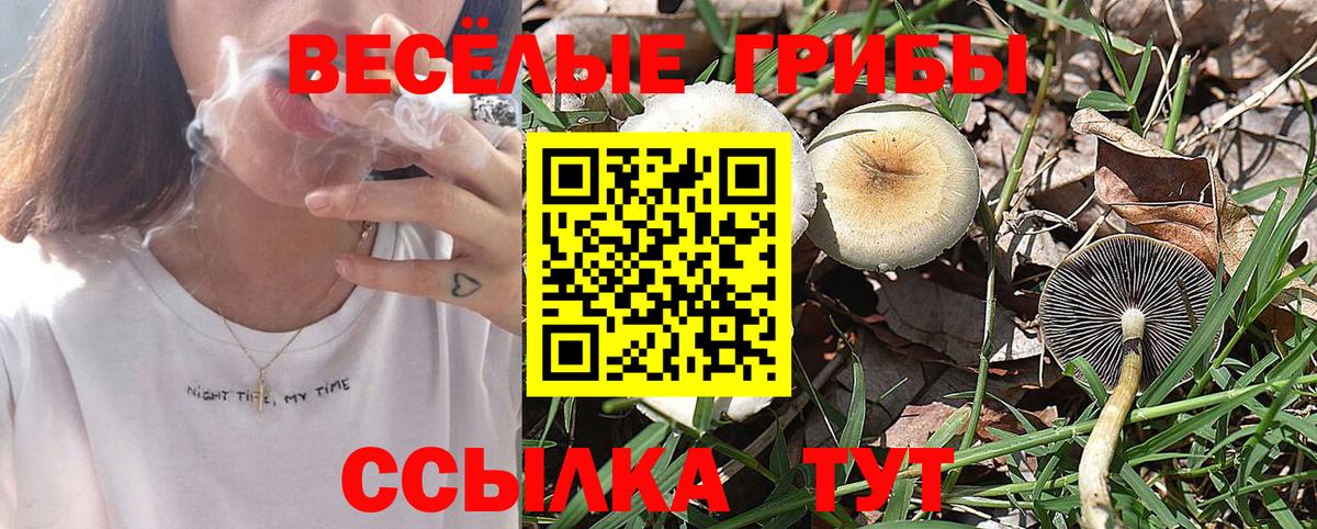 Галлюциногенные грибы GOLDEN TEACHER Южноуральск