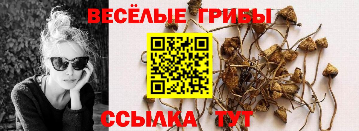 ГАШИШ Южноуральск